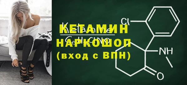 дживик Пересвет
