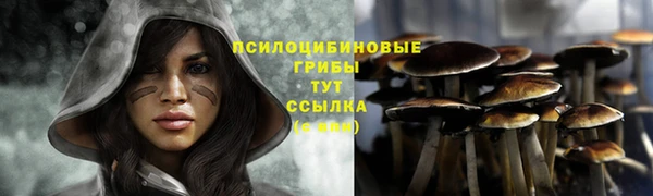 крисы Алзамай