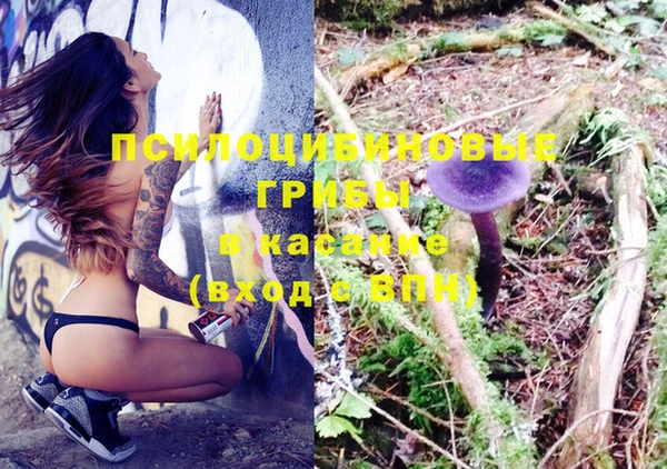 амф Алексеевка