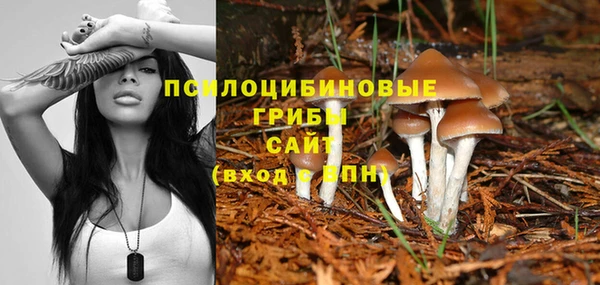 крисы Алзамай