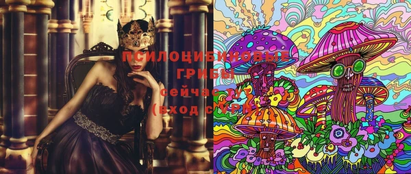 амф Алексеевка